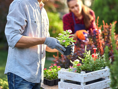 The best gardeners’ hand cream for dry skin