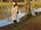 woman walking by a pond in autumn