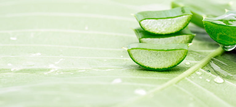 image for alcohol free beauty products category featuring slices of aloe vera