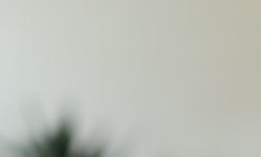 category banner for paraben-free face wash with hazy plant in background