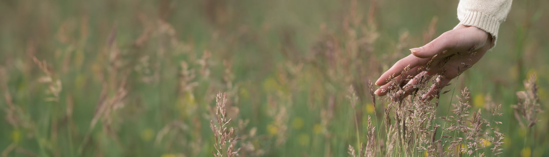 banner for rosacea skin care category with woman's hand gently touching grass