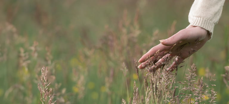 banner for rosacea skin care category with woman's hand gently touching grass